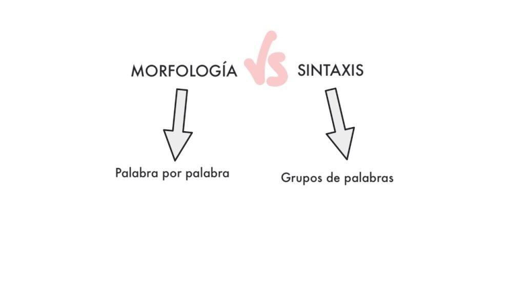 Gramática y Sintaxis Reveal How Language Is Structured and Works